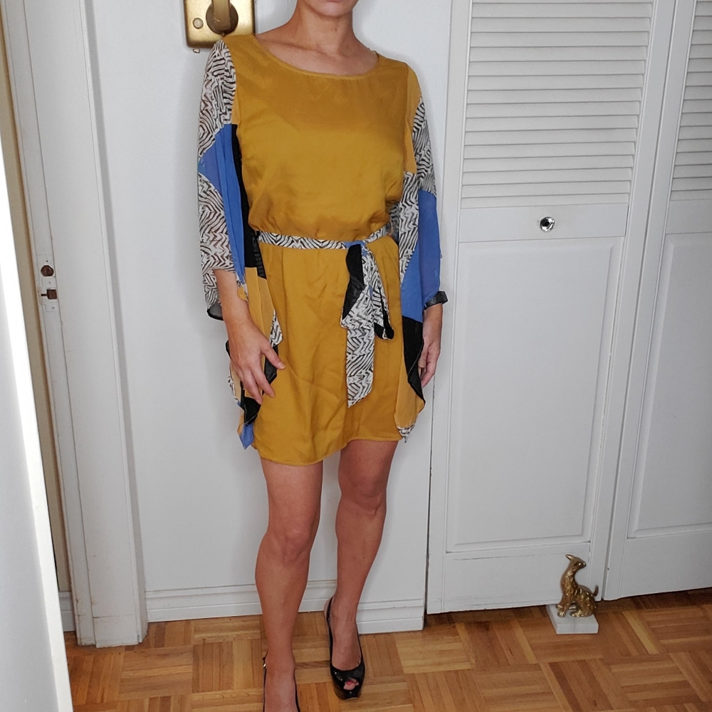 Flowy Sleeves Dress